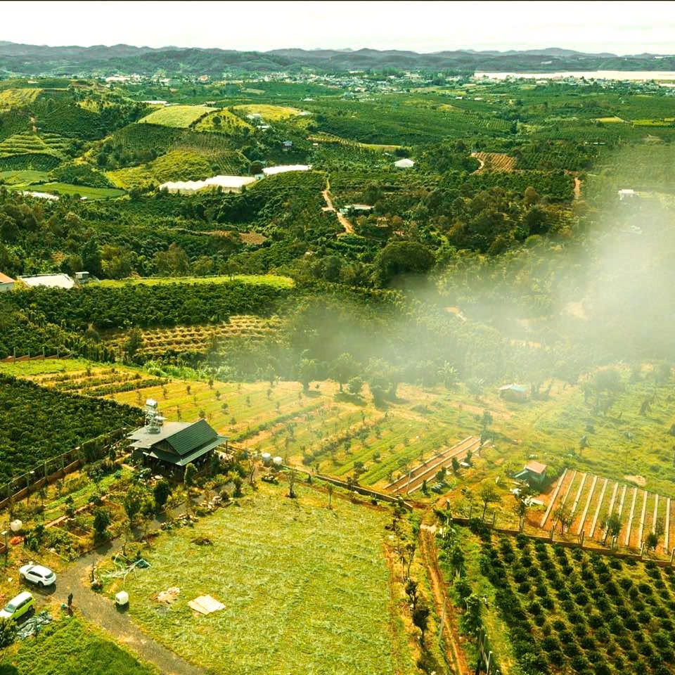 TINH HOA MÓN NGON TỪ ẨM THỰC TRẦN